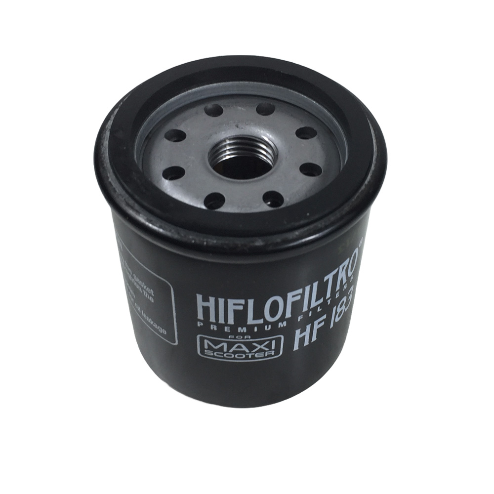 Filtro Oleo Madison 300 (V1)